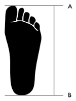foot shoe size chart